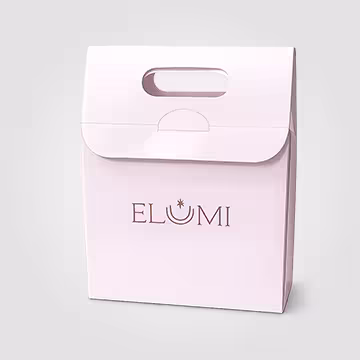 Paper Box Bags